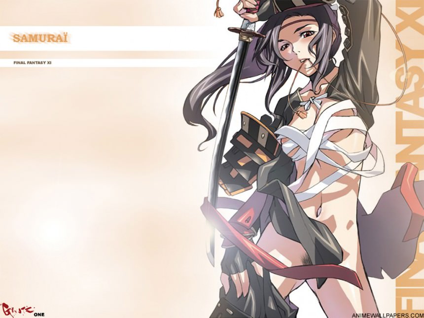   , Samurai, Final Fantasy XI